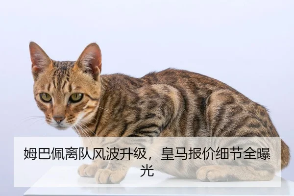 姆巴佩离队风波升级，皇马报价细节全曝光