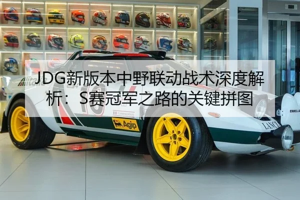 JDG新版本中野联动战术深度解析：S赛冠军之路的关键拼图