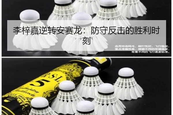 li-zi-jia-ni-zhuan-an-sai-long-fang-shou-fan-ji-de-sheng-li-shi-ke-3-401.jpg