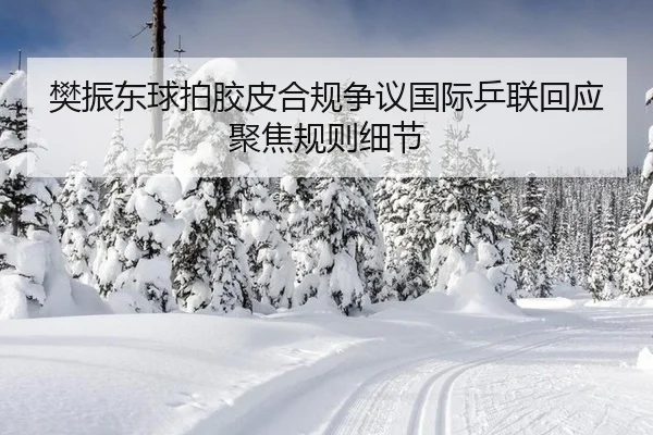 樊振东球拍胶皮合规争议国际乒联回应聚焦规则细节