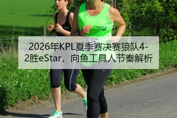 2026年KPL夏季赛决赛狼队4-2胜eStar，向鱼工具人节奏解析